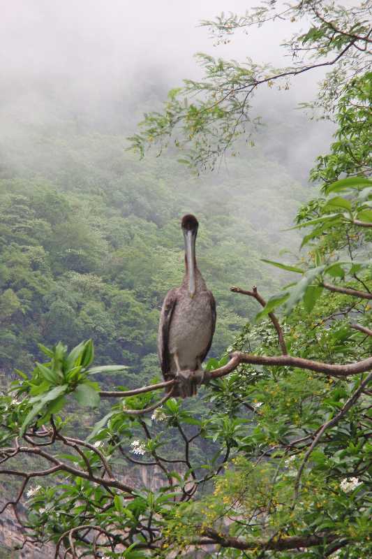 Mexico & Guatemala 2010 - 0373